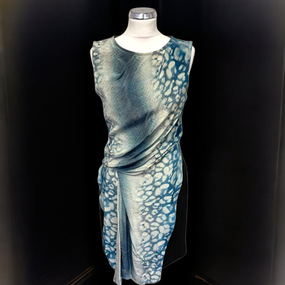 AllSaints Women’s Dress Silk Midi Shift Size 6 Wearable Art - Picture 3 of 9